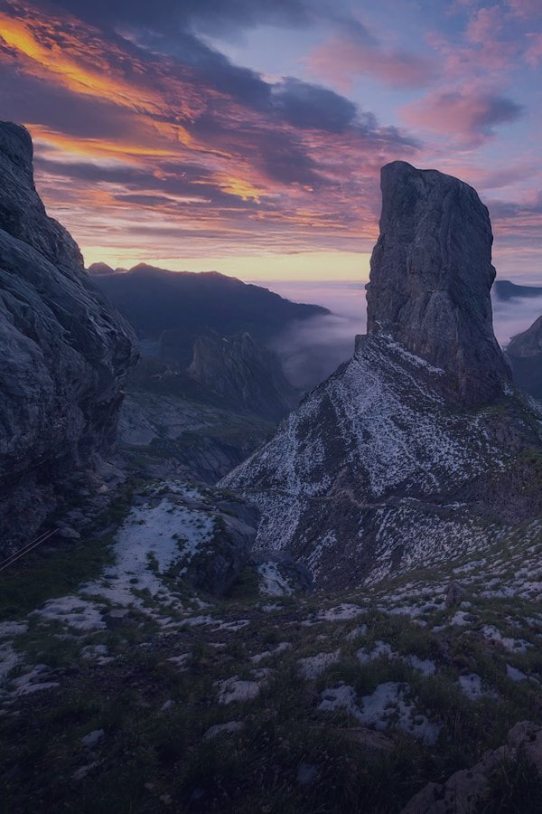 Nature documentaries in 4K